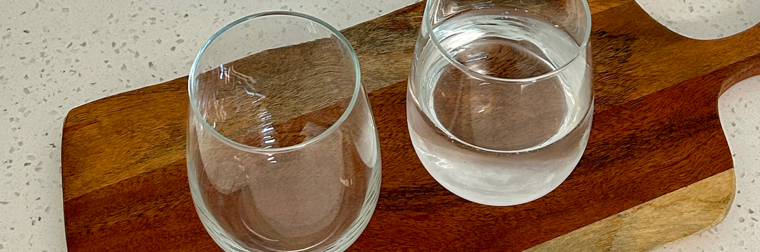 Alkaline Water Filter vs Reverse Osmosis