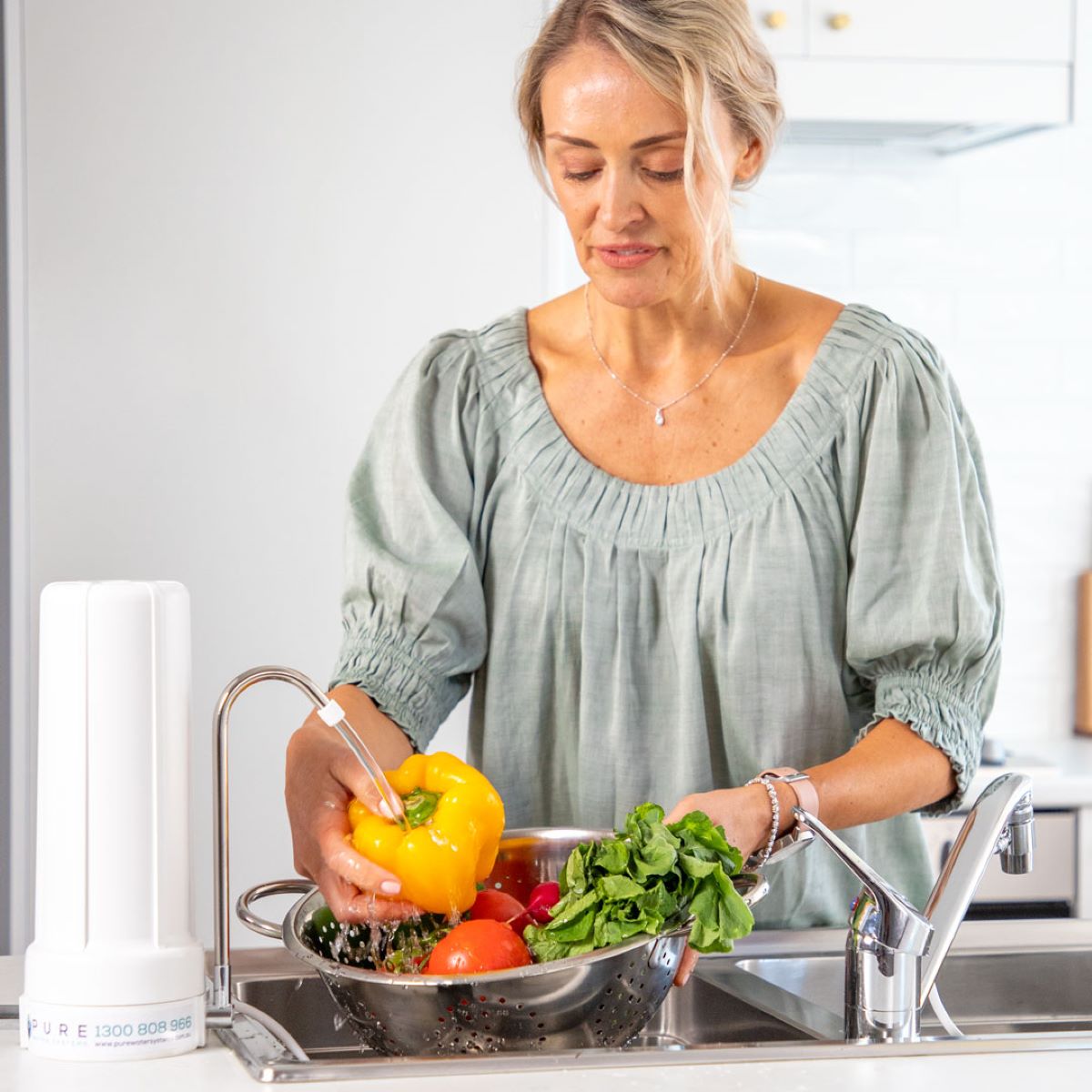 Bench Top Water Filter (Town Water)