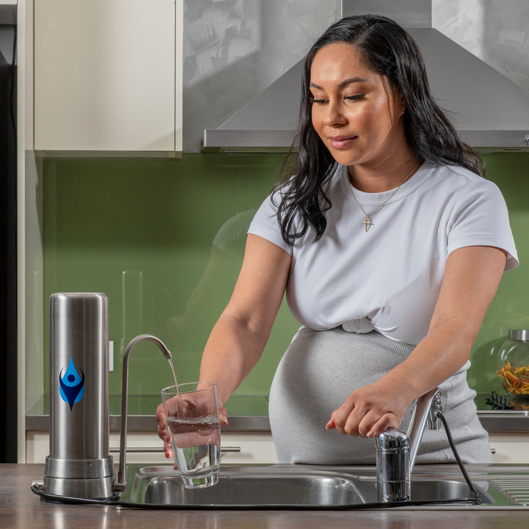 Stainless Steel Bench Top Water Filter (Tank Water)