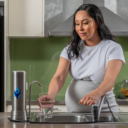 Stainless Steel Bench Top Water Filter (Tank Water)